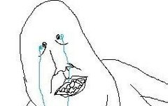 눼..? 나눈다구여??..