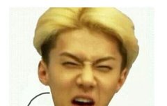 곧두시에하는라디오!!!!