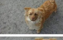 여기서 뭔가 세훈이가 보여요