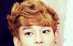 나대지마 종대가뭐가몬생겨ㅡ