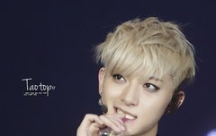 타오야 조화해드루와드루와