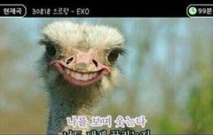 들을만한노래추천해드림.