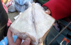 후기를가지고왓도다