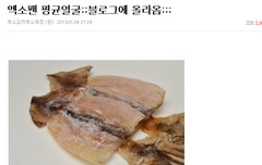 징어들 귀엽네ㅋㅋㅋㅋㅋ