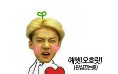 오늘쇼타임방송좌표좀 ㅠㅠㅠ