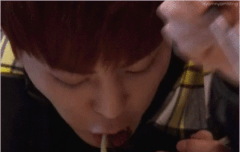 햄..햄슈터 움짤