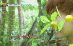 찬열이이제갔다 ㅠㅠㅠㅠㅠ