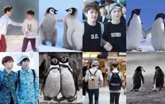 면도만세