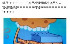 비서들 스펀지밥 마마