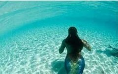 비서들 인어사진인뎅 이쁜데 무셥댜..