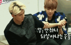 얘네는무는거좋아하나봐ㅋㅋㅎㅎ