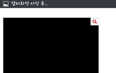 못본사람들 내가캡처함