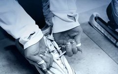 우리 비서들 연아킴형아처럼!