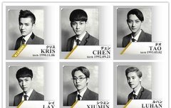 엑소 일본어프로필???...