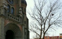 전주에서 니엘사짐