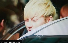 문에 낀 타오ㅠㅠ