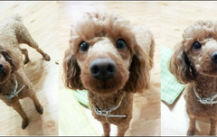 우와 몽구톡이다!!!!!!!!!!!!!!!!!!!!!!!!!!!!!!!!!!!!!!!!!!