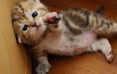 ㅅㄷ)다들 오랜만이에요