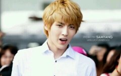 비서들 클모닝 ~