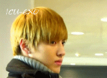 비서들 눈꼽 떼고 들어와ㅠㅠㅠㅠㅠ