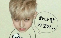 타오 화이트데이짤