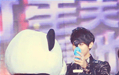 타오가타오에게뽀뽀를~