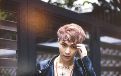 레이 사진 주의