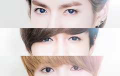 헐 솜이들 톡생겼었네