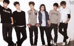 솜이들 머리는 전체적으로 이때가