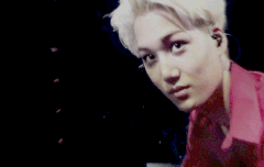 미안하다 몽구야 너보다 니 애비가 좋다 