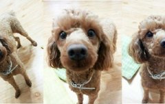 헐ㅠㅠ몽맘들 이거 봤어??ㅠㅠ