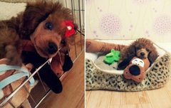 몽구야 너때문에 처음 글쓴다