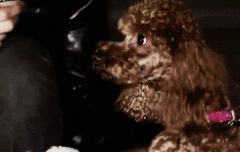 몽구로 분위기 정화~