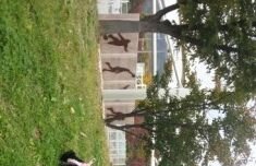 ㅅㅅㅈㅇ) 몽맘들.. 이거봤어??