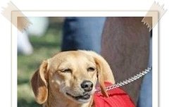 몽구오빠 옷조공쫌 골라줘ㅜㅜ