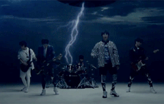 짤털이ㅣㅣㅣㅣㅣㅣ