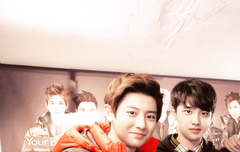 열매들 이 사진 예쁘지ㅠㅠ