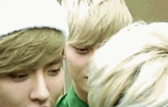 비서들 이거 언제야? ㅠㅠ