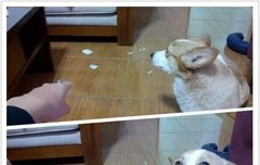 몽구 베프라는데 사고쳤네