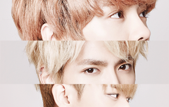 다 다르게 예쁜 솜이들 눈