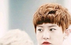 열매들 화질 좋은 사진 주고싶은데 미안ㅠㅠ