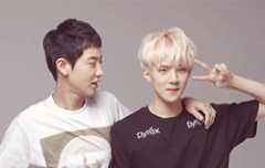 막내랑 놀아주는 큰멍뭉이