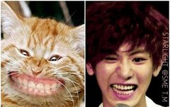 아이거뭐야ㅋㅋㅋ