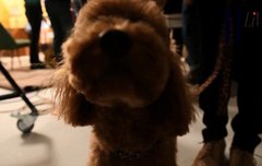 흔한 몽맘의 카밍아웃! 