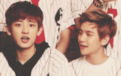 두비글 (찬열이가사랑스러운백현이)