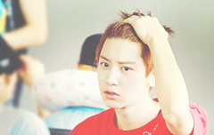 열매들 밥먹어!