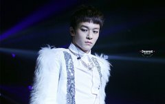  병아리 허니사진