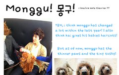 해외팬의 몽짱짱 구별법