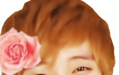 드디어 만듬!!니에리 자른이미지/그리고사진^^