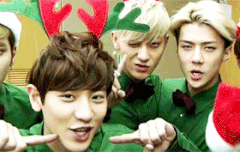 다들 마음을 힐링하자(움짤)